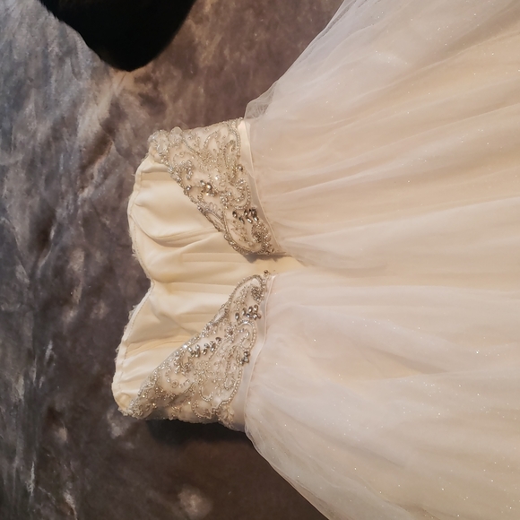 Wedding Dress - Picture 6 of 11